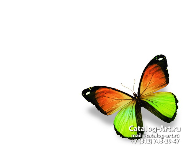  Butterflies 122